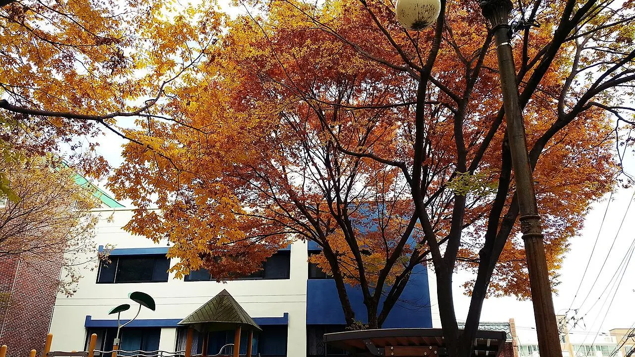 Lia House Hostel Busan 0*,